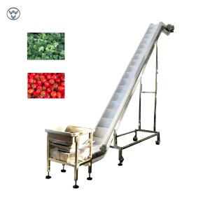 Quality Vegetable Fruit Frozen Food Inclined Conveyor Automatic Belt Chain Conveying wholesale