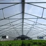 Tunnel Film Automatic Blackout Greenhouse Hydroponic American Agriculture Light