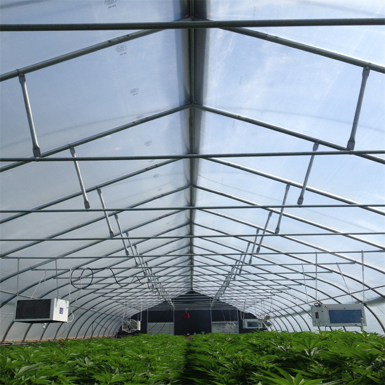 Tunnel Film Automatic Blackout Greenhouse Hydroponic American Agriculture Light Dep