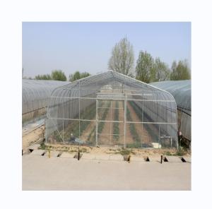 Quality 300 Square Meter Cucumber Greenhouse Single Span Tunnel Design wholesale