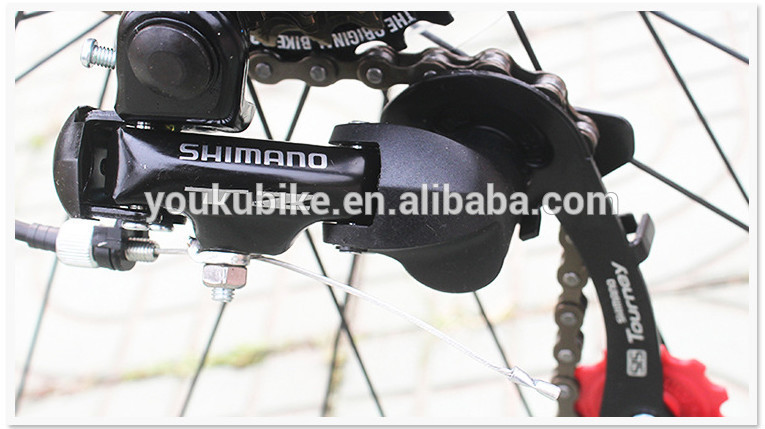 Steel 21 Speed 24 Inch Folding Mountain Bike