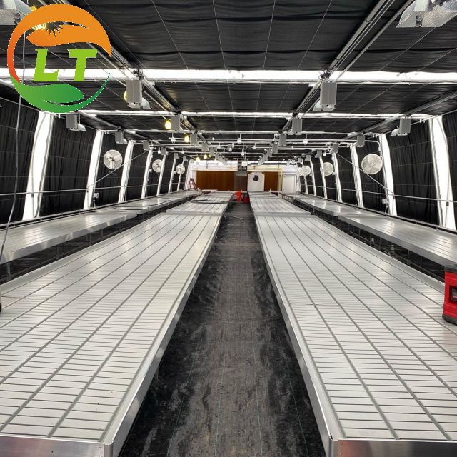 Film Covered Mushroom Cultured Greenhouse for Mushroom Cultivation and Easy Assembly