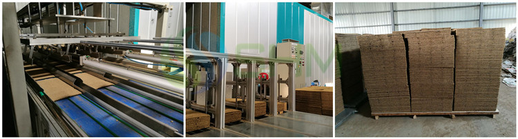 Biodegradable Nursery Tray Making Machine Automatic With Nutrient Matrix Waste Paper