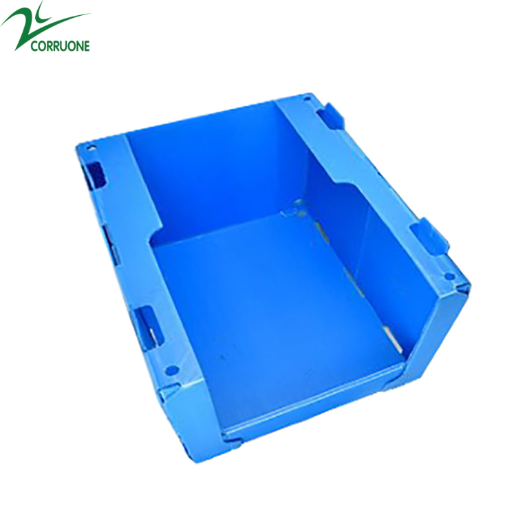 Green Polypropylene Correx Board Con Pearl PP Honeycomb Board