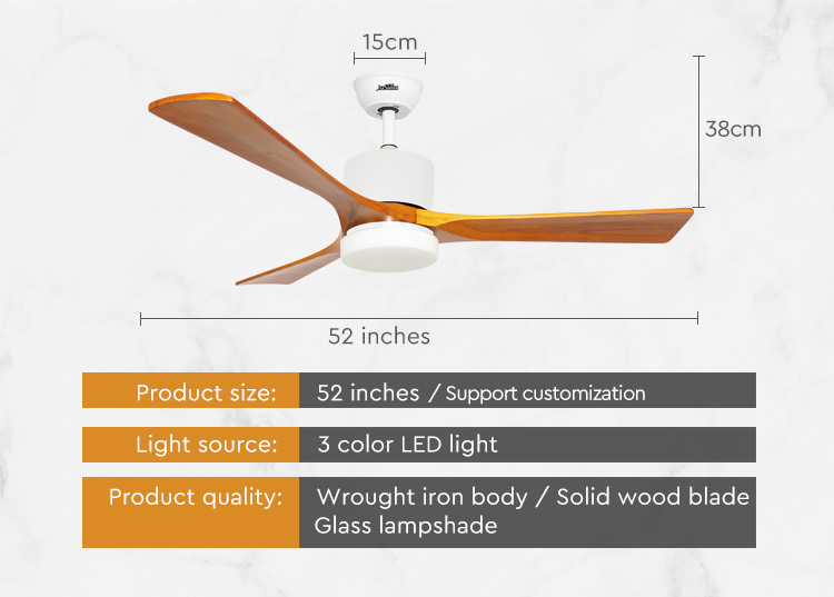 LED Ceiling Fan Decorative Lighting with Electric DC Motor and Remote Control Function
