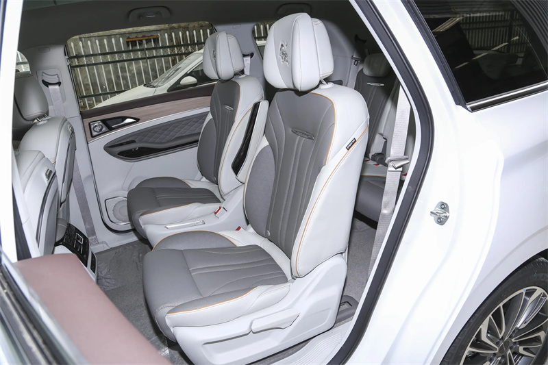 DCT Gearbox and Strong Power 's Latest MPV Motor Power Battery Vehicle M4 HEV with Customization Options from Leading Supplie
