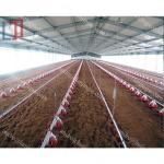 Custom Modern Steel Frame House , High Strength Metal Chicken House