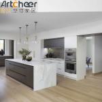 Modular Kitchen Cabinets Eco-Friendly Plywood for Modern Villa Kitchen Storage
