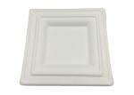 8 Inch Square Biodegradable Sugarcane Bagasse Plates