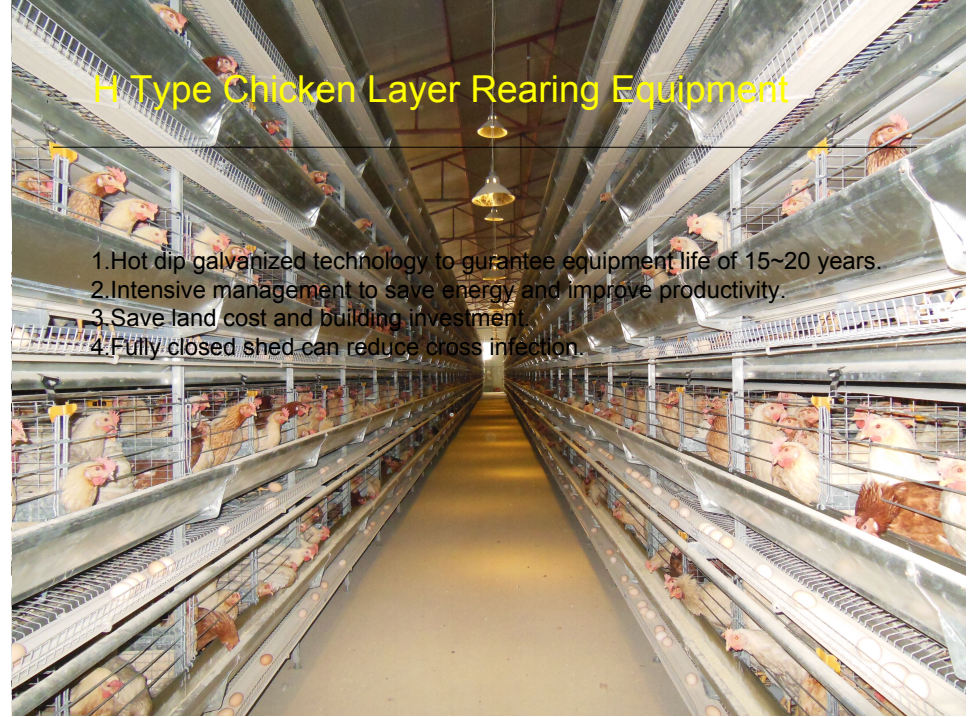 Prefabricated Steel Structure Farm House Light Steel Frame Construction Building