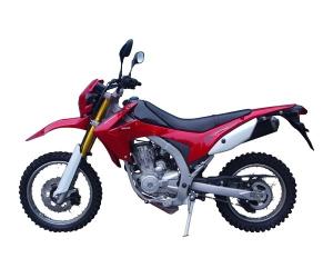 Quality ZS Engine 250cc 300cc 450cc Dirt Bike Motorcycle 200W - 350W Power wholesale