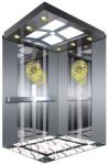 Noiseless Residential Traction Elevator VVVF Control Home Lifts