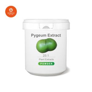 Quality Natural Birch Bark Extract Betulin wholesale