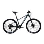 29 Inch Mountain Bike Marlin Made with Copy Carbon Welding and Aluminum Rim