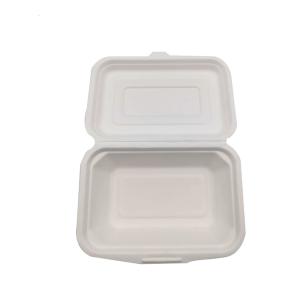 Quality Single Compartment Biodegradable Clamshell Box Disposable 8in 9 Inch wholesale