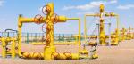 2 1/16-7 1/16 In Wellhead Christmas Tree 3000psi-20000psi