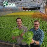 Multi-Span Agricultural Greenhouses with PO Film Redefining Indoor Hydroponic