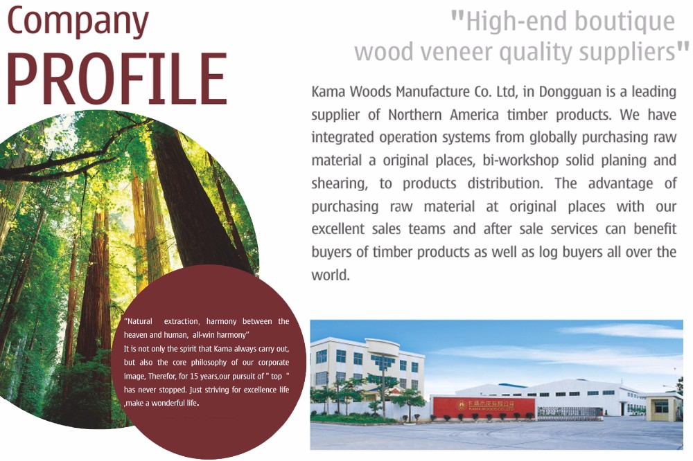 Natural Pine Wood Veneer Pine Sliced Veneer Crown Pine Veneer for Furniture Door and Plywood Industry