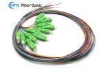 SM G652D Fiber Optic Pigtail