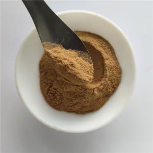 Quality Gmp Certificate Manufacturer Fennel Seed Extract wholesale