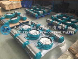 Quality Rack and Pinion Pneumatic Actuator 5021 Colour Long Use Life Actuator wholesale