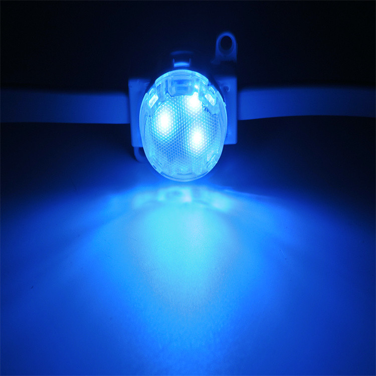 Christmas Outdoor Decoration LED Point Lights with High Brightness Smd 5050 Led and IP67 Protection