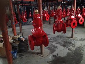Quality (ANSI) Cast Iron OS&amp;Y Gate Valve wholesale