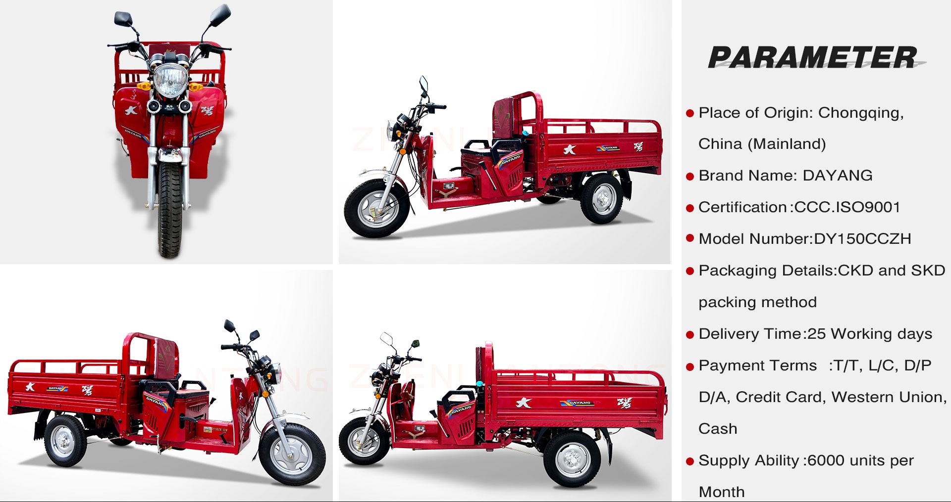 DAYANG Tricycle Motorcycle Cargo with 110cc Air Cooled Engine 3 Wheels and 4.0-12 Tires