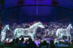 Hologram Gauze 50m Transparent 3D Holographic Projection Screen