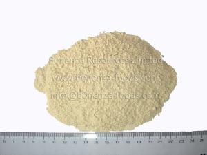 Quality Bulk Supply China Dehydrated Garlic Powder Dried Garlic Flour wholesale