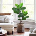 Bathroom Decorative Artificial Potted Floor Plants Fiddle Leaf Fig