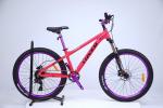 Experience the Freedom of Mountain Biking with Sports Mountain Bike 8/9 Speeds