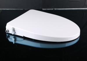 Quality Royalstar Cold Water Wash Custom Logo Bidet Non Electric Bidet wholesale