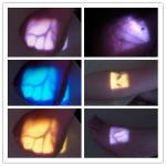 Resolution of 800*1280 Near Infrared Projectiion Vein Finder Portable Medical