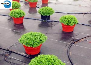 Quality PP Woven Ground Cover Garden PP Woven Weed Barrier Control Mat Landscape Fabric wholesale