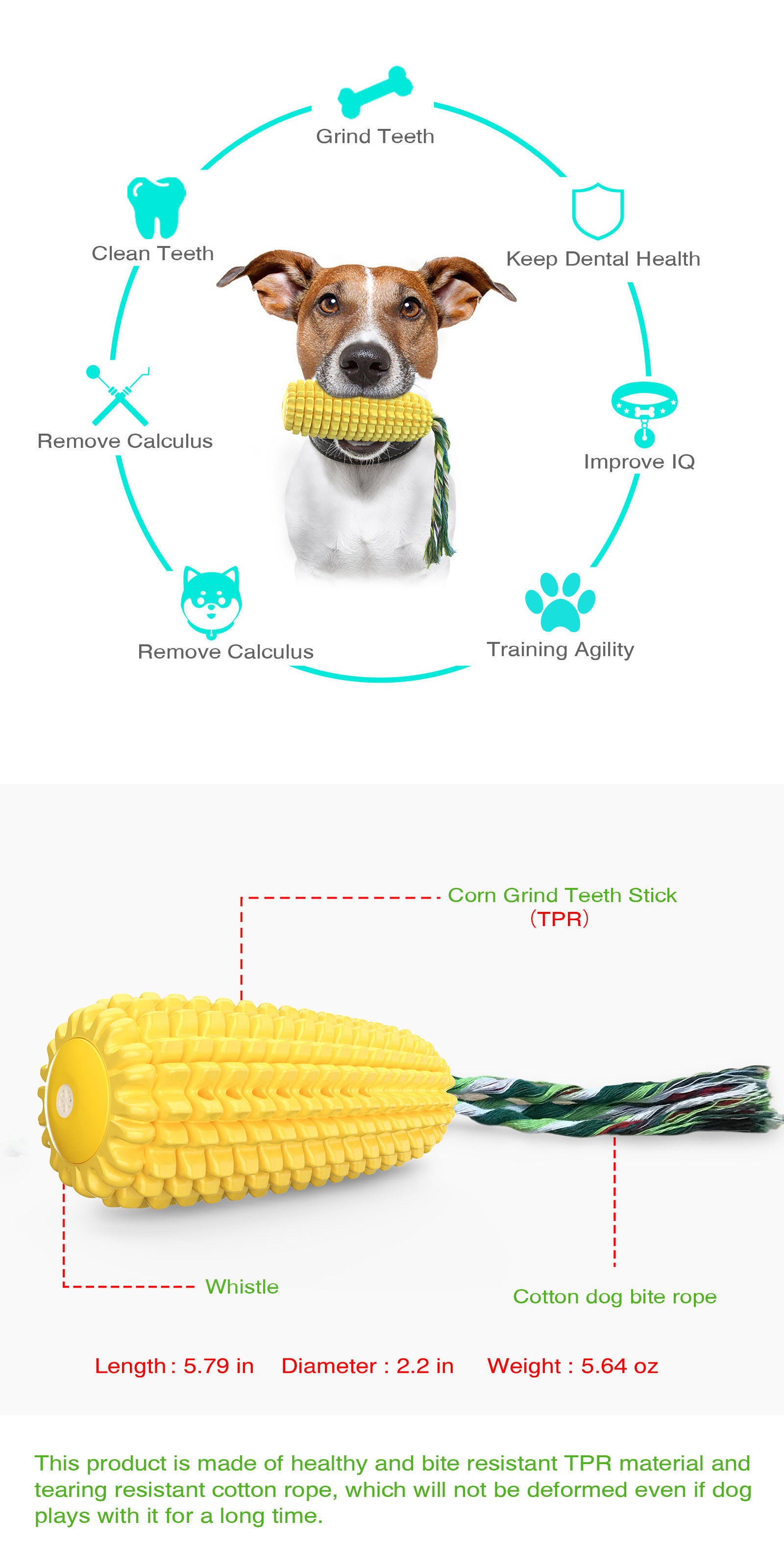 Toxic Free Squeaky Dog Toys TPR Chew Toys For Aggressive Chewers
