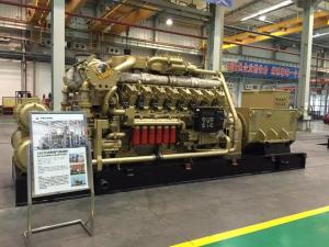 Quality Standard H16V190zlt2-2 Natural Gas Generator Parts Jinan to Niger Standard Output Type wholesale