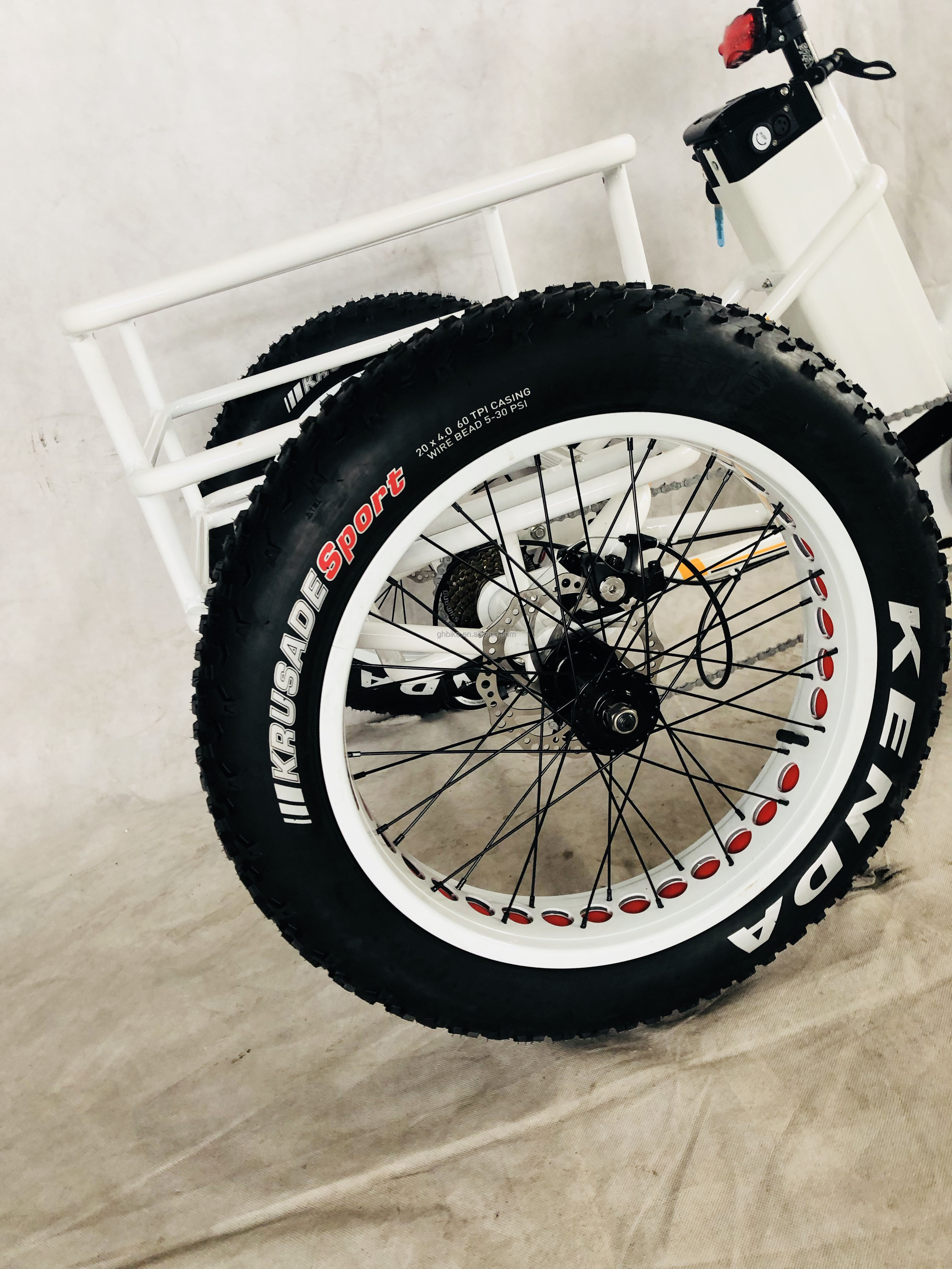48V 750W Front Motor 24" Adult Electric Tricycle with 17AH Lithium Battery and Fat Snow Tires
