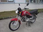 Big Carrier Air Cooled 125 Cc Sports Bike Chain Cover Taxi Motorcycle