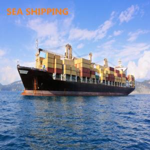 China To USA Amazon DDP Fast Vessel FBA Freight Forwarder
