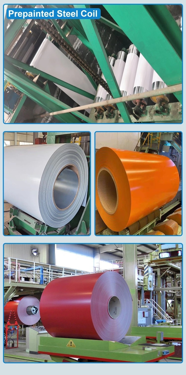 Ral9003 Prepainted Galvalume PPGL Steel Coils 0.12mm-1.2mm