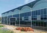 Plastic Film Vegetables Tomatoes Single Span Greenhouse