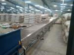 Stainless Steel Motorized Roller Conveyor