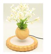Quality wooden magnetic levitate floating bottom air bonsai pot tree wholesale