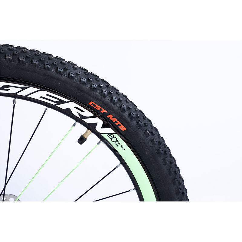 Performance TONGLI MICHANICAL DISC BRAKE Mountain Bike with Steel Rim
