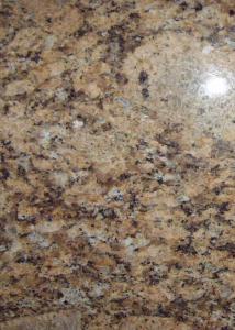 Quality Gialla Veneziano Yellow Granite Stone Tiles , Natural Granite Floor Tiles Good Weather Tolerance wholesale