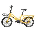 20 Inch Retro Dual 250W Electric Cargo Bike 7 Speed 36V 7.8Ah Lithium Battery