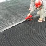 CE/ISO9001 ISO14001 Certified HDPE Plastic Drainage Board for Drainage and Cost
