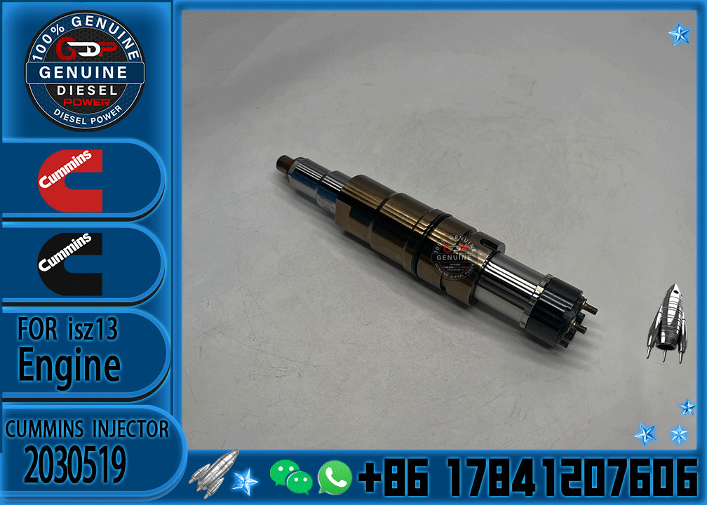 2029622 Genuine Diesel Common Rail Fuel Injector 1948565 2030519 2031836 2031835 2086663