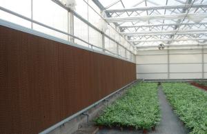 Quality evaporative cooling pad wholesale
